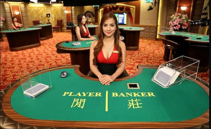 Các biểu trò chơi trong casino